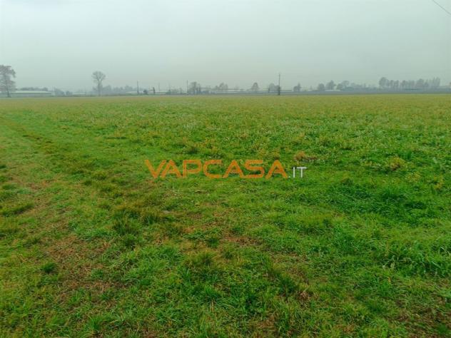 TERRENO AGRIOLO PIANEGGIANTE CON ACCESSO DIRETTO - Foto 2