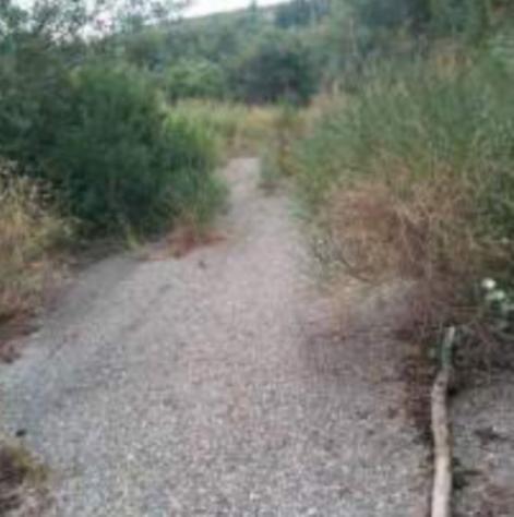 Immobile in asta di 21130 m² in vendita a Torano Castello - Foto 7