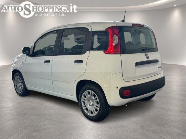 FIAT Pandina Panda III 1.0 firefly hybrid Icon s&s 65cv 5p.ti - Foto 7