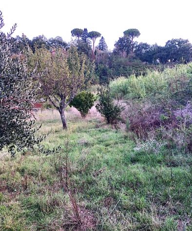 Monolocale a Morlupo Via Luchino Visconti - Foto 6