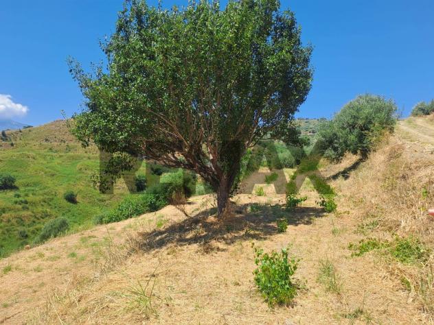 Terreno in vendita a Calatabiano, Ponte Borea - Foto 5
