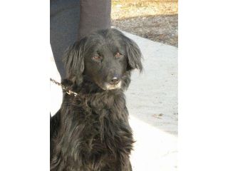 BRACCOBALDO, dolce mix setter