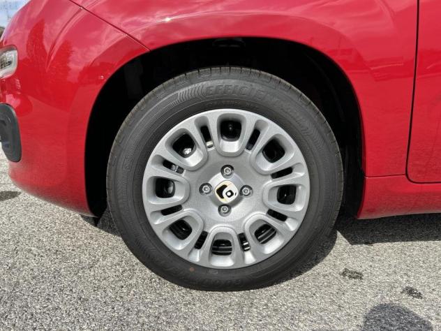 FIAT Panda Pandina 1.0 65 CV Hybrid Icon OK NEOPATENTATI - Foto 5
