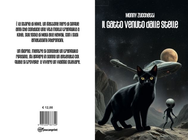 CERCO LIBRERIE PER ORGANIZZARE EVENTI DI FIRMACOPIE - Foto 3