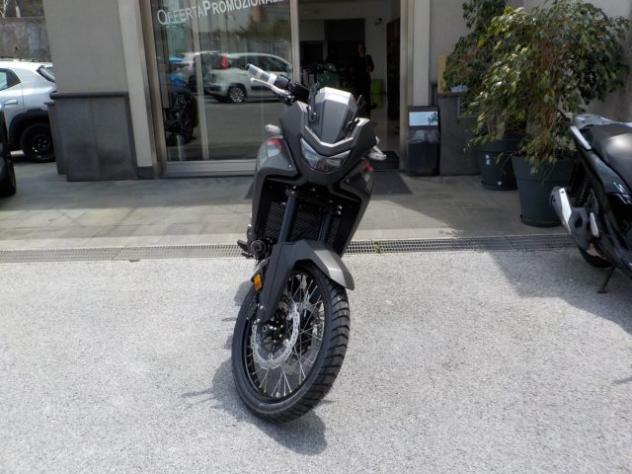HONDA Transalp XL750 NUOVA 2026 rif. 24166469