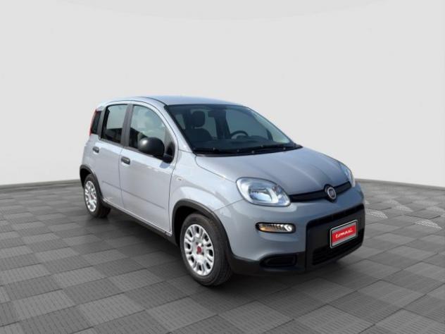 FIAT Panda Panda 1.0 FireFly Hybrid City Life rif. 24026722 - Foto 7