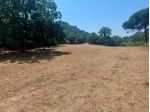 Agricolo in Via Carpella