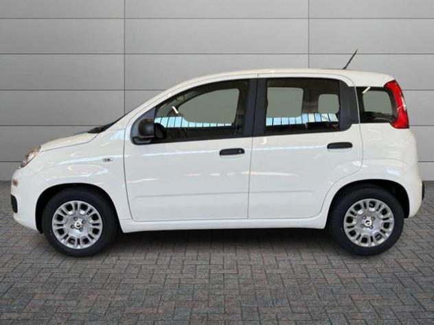 FIAT Pandina Pandina Pop rif. 23484115 - Foto 6