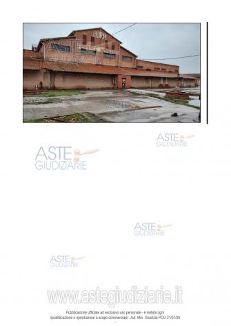 IMMOBILI-IMMOBILE INDUSTRIALE-Via Scansanese, 200, 58100 Grosseto GR, Italia - Foto 6