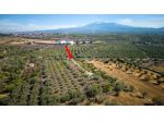 CODICE 5268 TERRENO PIANEGGIANTE SU STRADA CON ACQUA E LUCE