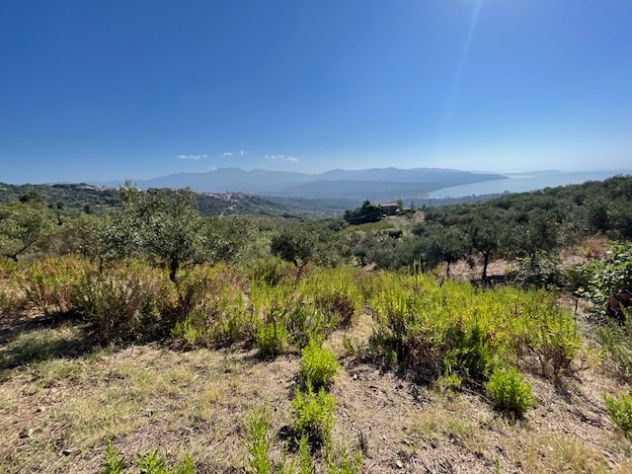 Casal Velino a 3 Km dal mare terreno mq 6.650 - Foto 2