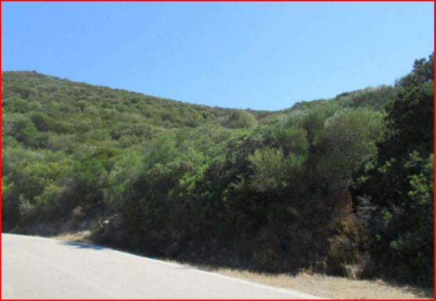 Immobile in asta di 20085 m² in vendita a Viddalba - Foto 3