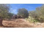 VENDITA TERRENO CON FABBRICATO  TRULLO C.DA BATTAGLIA VILLA CASTELLI