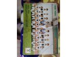R131 - POSTER SQUADRA UDINESE 1983/84