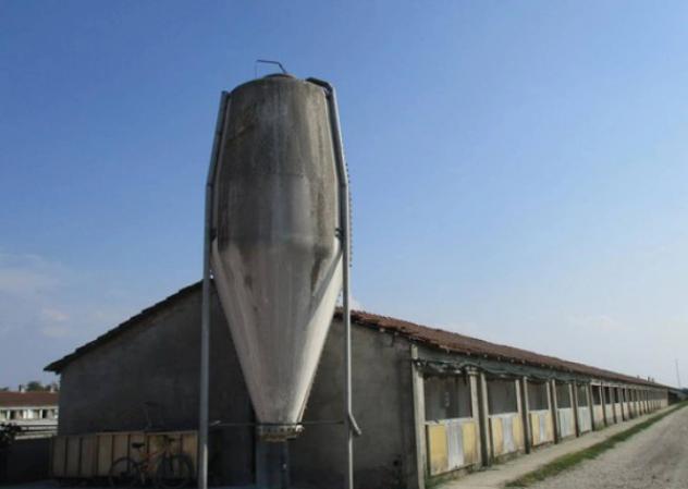 Immobile in asta di 7899 m² in vendita a Pieve del Cairo - Foto 5