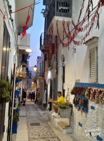 Vieste Seba Vacanze "il tuo nido a Vieste, a due passi dal mare - Foto 3