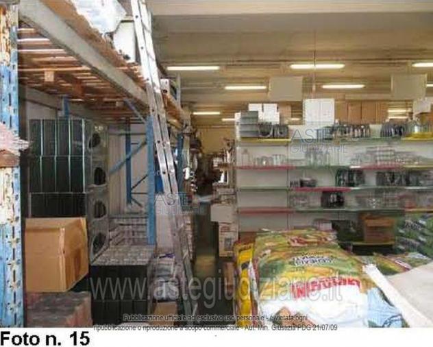 IMMOBILI-IMMOBILE COMMERCIALE-Via degli Scaloni, 18 - Foto 6