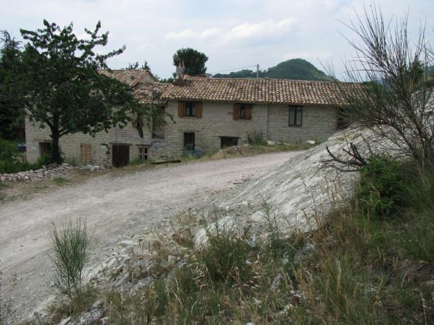 terreno boschivo mq500000 Privato - Foto 2