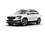 Škoda Karoq 2022 2.0 tdi Executive 115cv