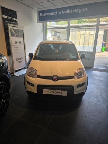 FIAT Panda 3ª serie Panda 1.0 FireFly S&S Hybrid Pandina