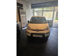 FIAT Panda 3ª serie Panda 1.0 FireFly S&S Hybrid Pandina