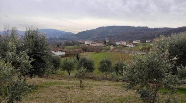 Immobile in asta di 11548 m² in vendita a Chiampo - Foto 2