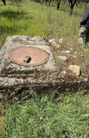 Immobile in asta di 79900 m² in vendita a Feroleto Antico - Foto 2