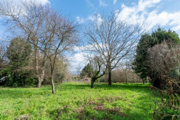 Agricolo in Via Colle Vecchio - Foto 11