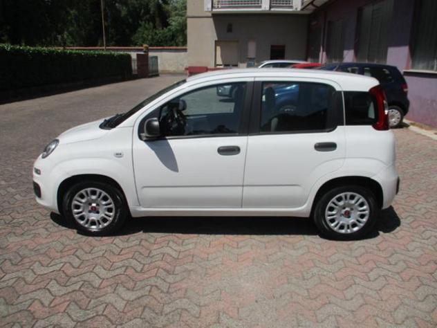 FIAT Panda 1.0 FireFly S&S Hybrid*PREZZO REALE rif. 23937429 - Foto 3