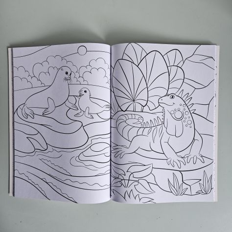 Libro da Colorare, Colouring Book - Giraffa A4 - 2026 - TRACCIATA!! - Foto 2