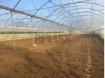Azienda Agricola in vendita a Partinico