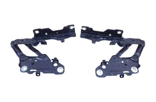 CERNIERE COFANO ANTERIORE DX E SX BMW X4 Serie (G02) 7397500 (18)