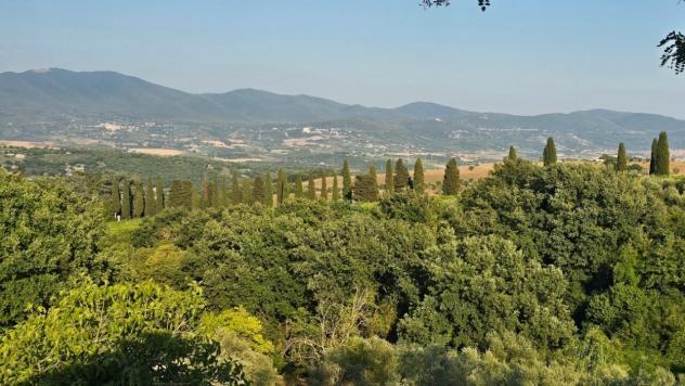 Casale in vendita a Orvieto - Foto 10