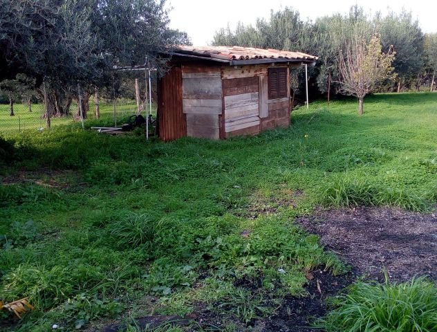 Terreno a 2 km dal paese - Foto 6