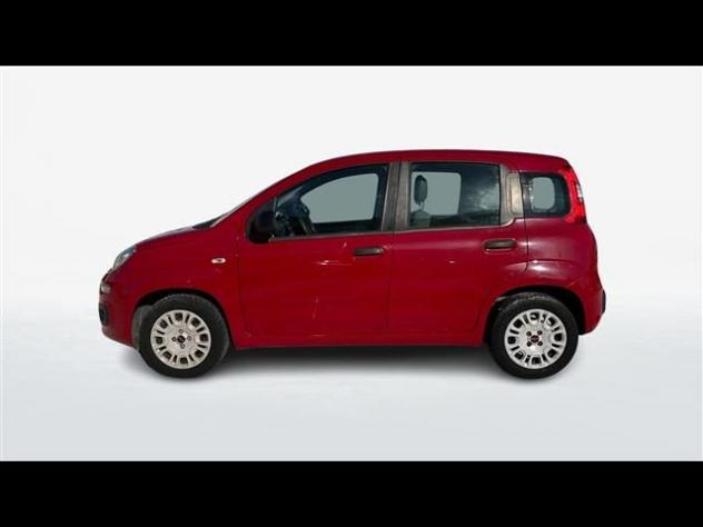 FIAT Panda 1.2 Easy 69cv E6 rif. 23725736 - Foto 2