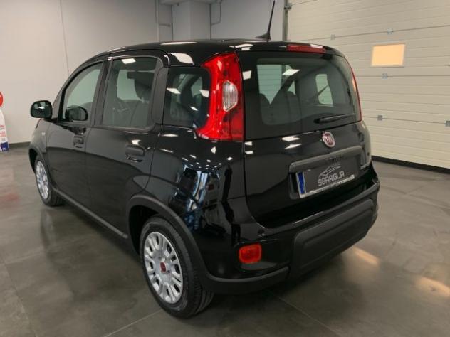 FIAT Panda 1.0 Benzina Hybrid City Life rif. 24052147 - Foto 4