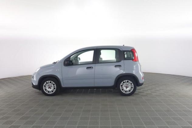FIAT Panda Panda 1.0 FireFly Hybrid City Life rif. 23697094 - Foto 7