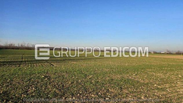 Terreno di 54095 mq in vendita a Dairago - Rif. 4551125
