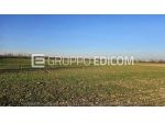 Terreno di 54095 mq  in vendita a Dairago - Rif. 4551125
