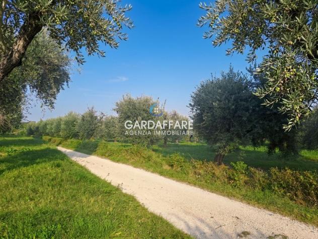 TERRENO AGRICOLO A MANERBA DEL GARDA