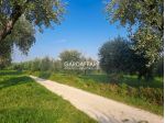 TERRENO AGRICOLO A MANERBA DEL GARDA