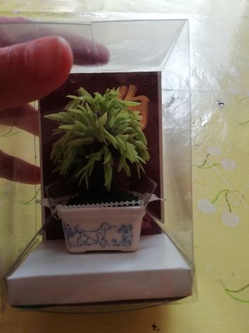 bonsai - Foto 3