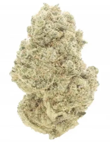 White Widow