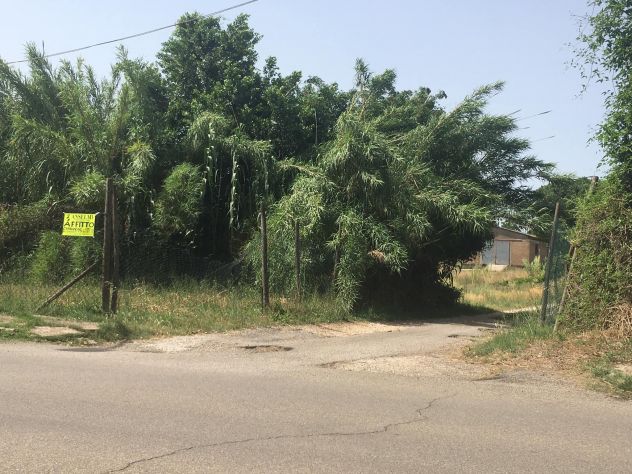 Capannone in affitto a Corchiano - Foto 3