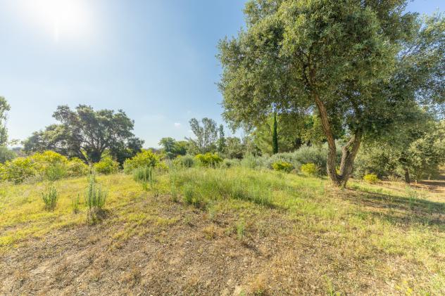 Villa in vendita a Montalto di Castro - Foto 13