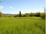 Agricolo in vendita a Castellina Marittima