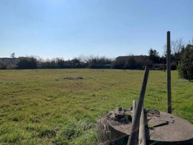 Immobile in asta di 2396 m² in vendita a Saonara - Foto 6