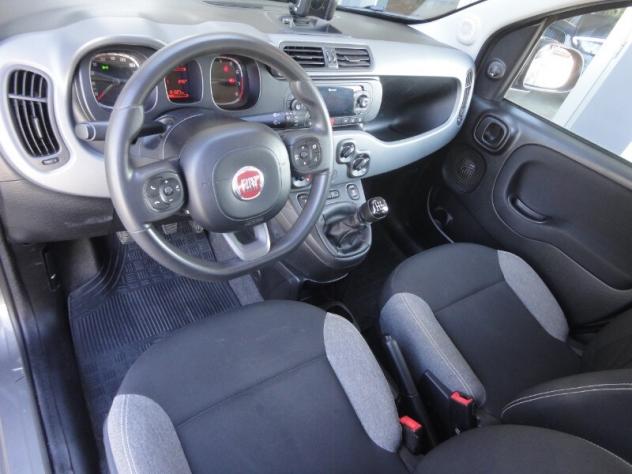 FIAT Panda 3ª serie Panda 1.0 FireFly S&S Hybrid City Life - Foto 6