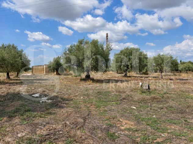 Terreno Agricolo - Chiaramonte Gulfi . Rif.: Cod. rif 3343369VCG - Foto 2