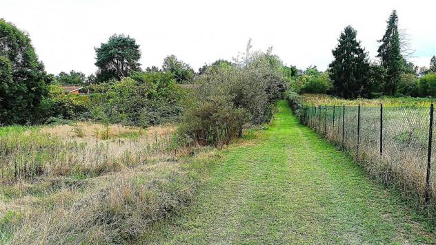 Terreno Agricolo - La Cassa . Rif.: 33421 - Foto 5